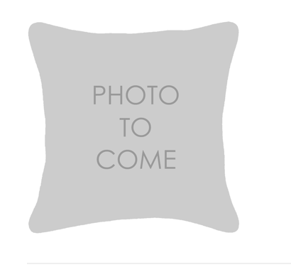 Giorgio Linen Ingot Pillow in Platinum
