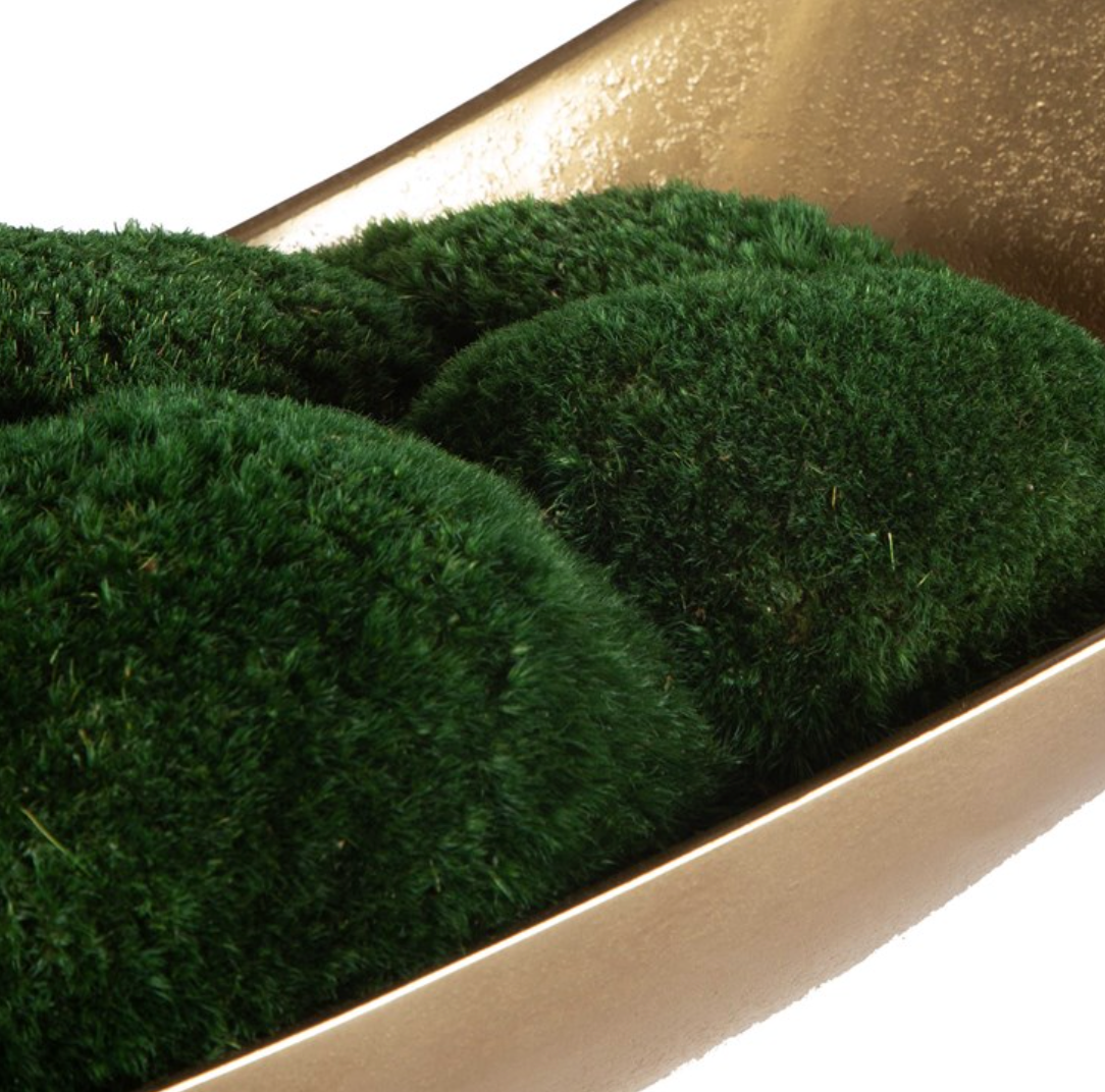 Venice Moss Centerpiece